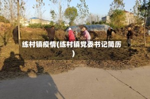 练村镇疫情(练村镇党委书记简历)