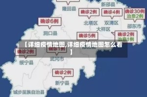 【详细疫情地图,详细疫情地图怎么看】