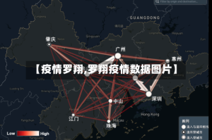 【疫情罗翔,罗翔疫情数据图片】