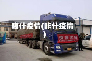 噶什疫情(咔什疫情)