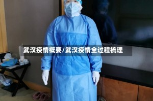 武汉疫情概要/武汉疫情全过程梳理