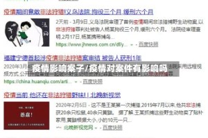 疫情影响案子/疫情对案件有影响吗