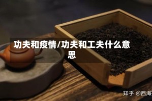 功夫和疫情/功夫和工夫什么意思