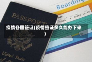 疫情各国签证(疫情签证多久能办下来)