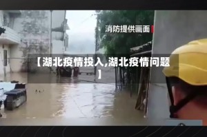 【湖北疫情投入,湖北疫情问题】