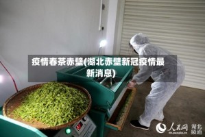 疫情春茶赤壁(湖北赤壁新冠疫情最新消息)