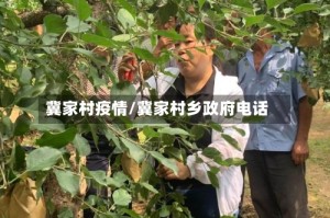 冀家村疫情/冀家村乡政府电话