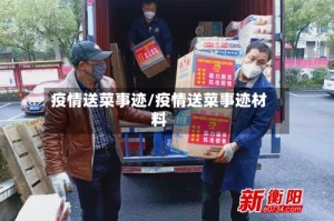 疫情送菜事迹/疫情送菜事迹材料