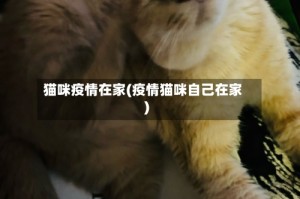 猫咪疫情在家(疫情猫咪自己在家)