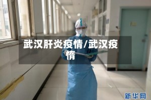 武汉肝炎疫情/武汉疫惰