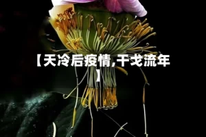 【天冷后疫情,干戈流年】