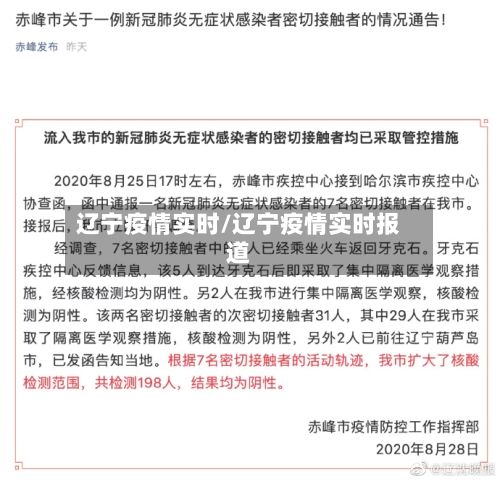 辽宁疫情实时/辽宁疫情实时报道-第3张图片