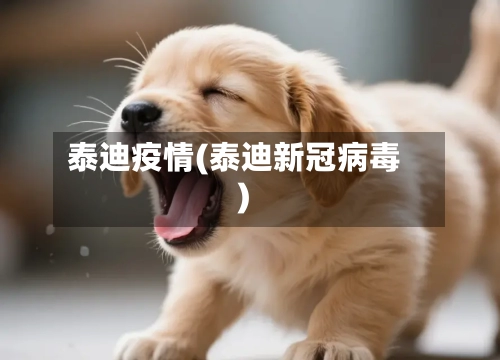 泰迪疫情(泰迪新冠病毒)-第2张图片