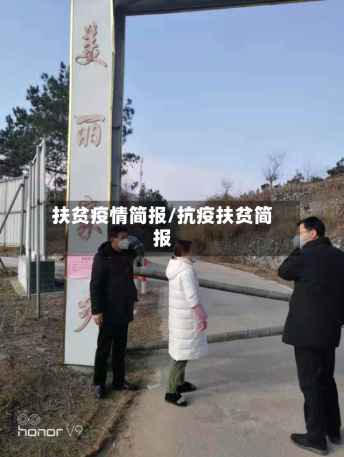 扶贫疫情简报/抗疫扶贫简报-第3张图片