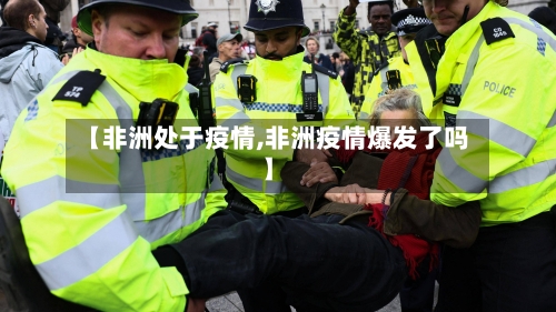 【非洲处于疫情,非洲疫情爆发了吗】-第1张图片