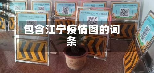 包含江宁疫情图的词条-第2张图片