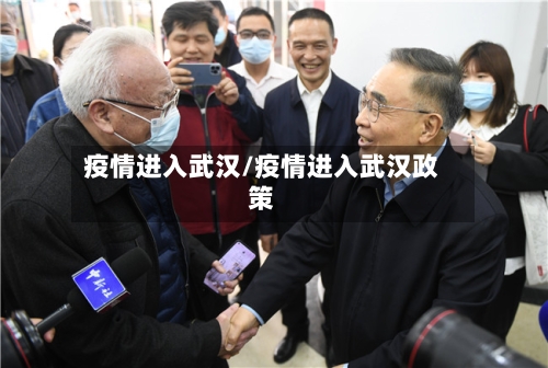 疫情进入武汉/疫情进入武汉政策-第1张图片