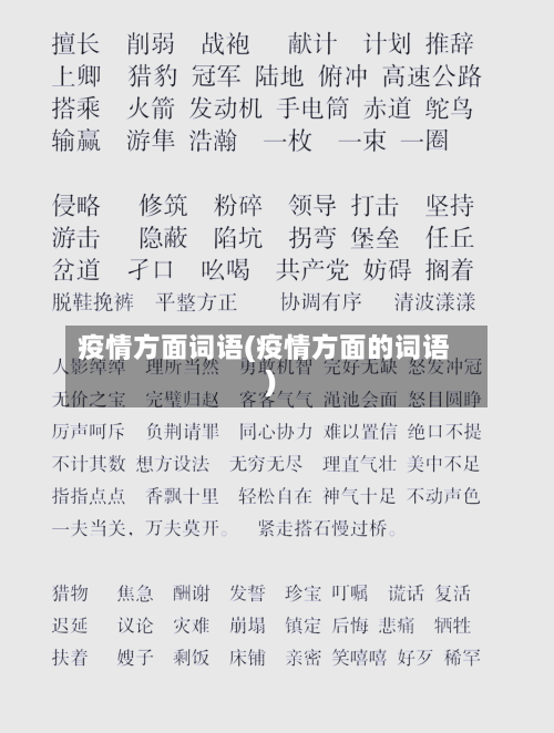疫情方面词语(疫情方面的词语)-第2张图片