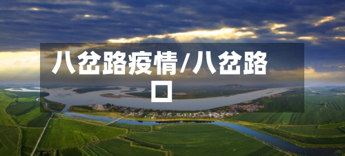 八岔路疫情/八岔路口-第2张图片