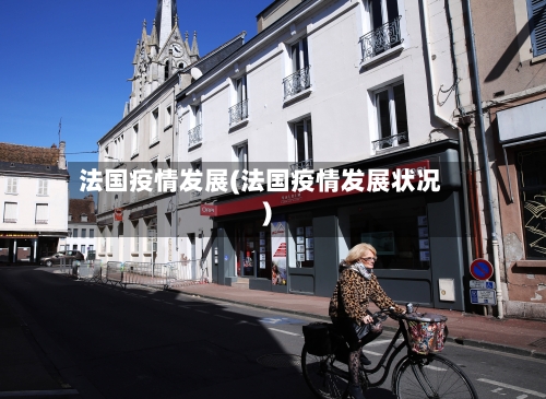 法国疫情发展(法国疫情发展状况)-第3张图片
