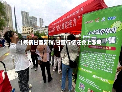 【疫情甘蓝滞销,甘蓝行情还会上涨吗】-第1张图片