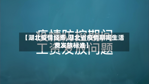 【湖北疫情经费,湖北省疫情期间生活费发放标准】-第2张图片
