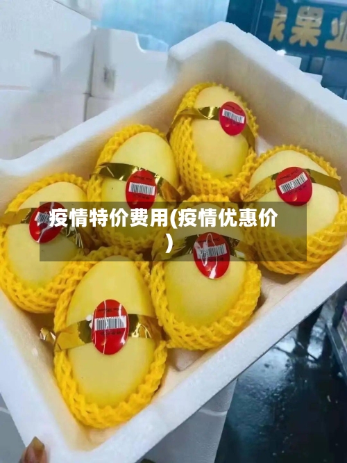 疫情特价费用(疫情优惠价)-第1张图片