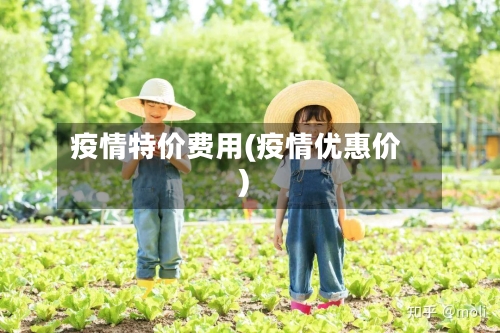 疫情特价费用(疫情优惠价)-第2张图片