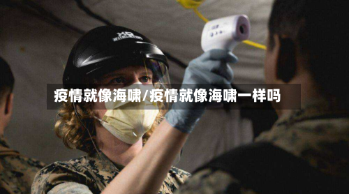 疫情就像海啸/疫情就像海啸一样吗-第3张图片