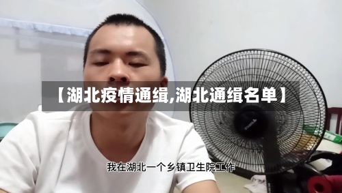 【湖北疫情通缉,湖北通缉名单】-第3张图片