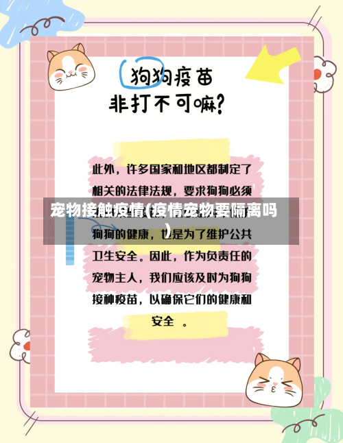 宠物接触疫情(疫情宠物要隔离吗)-第1张图片