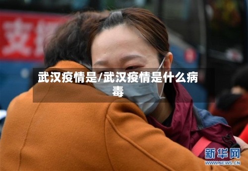 武汉疫情是/武汉疫情是什么病毒-第1张图片
