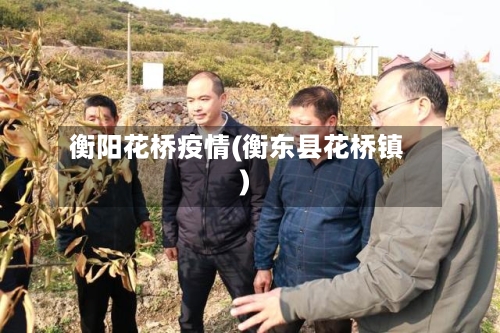 衡阳花桥疫情(衡东县花桥镇)-第1张图片