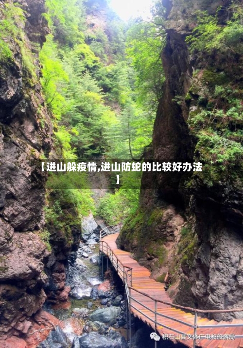 【进山躲疫情,进山防蛇的比较好办法】-第3张图片