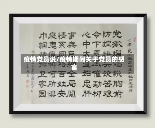 疫情党员说/疫情期间关于党员的感言-第1张图片