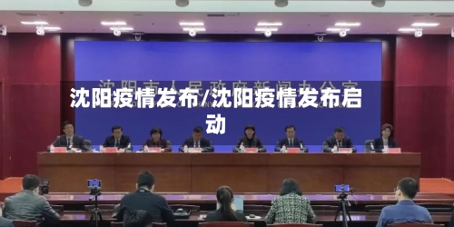 沈阳疫情发布/沈阳疫情发布启动-第2张图片