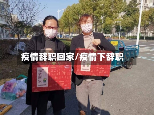 疫情辞职回家/疫情下辞职-第1张图片