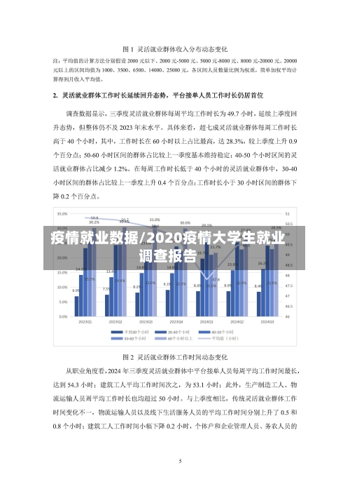 疫情就业数据/2020疫情大学生就业调查报告-第3张图片