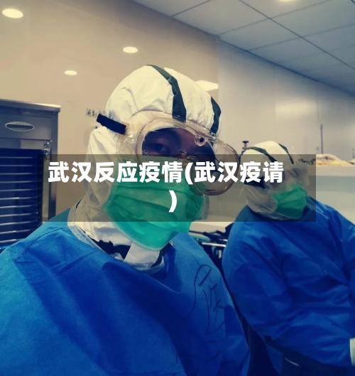 武汉反应疫情(武汉疫请)-第1张图片