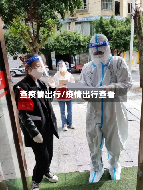 查疫情出行/疫情出行查看-第2张图片