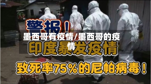 墨西哥有疫情/墨西哥的疫情-第1张图片