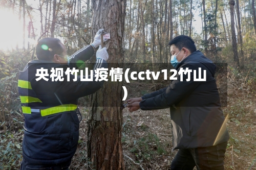 央视竹山疫情(cctv12竹山)-第1张图片