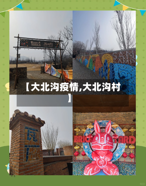 【大北沟疫情,大北沟村】-第2张图片