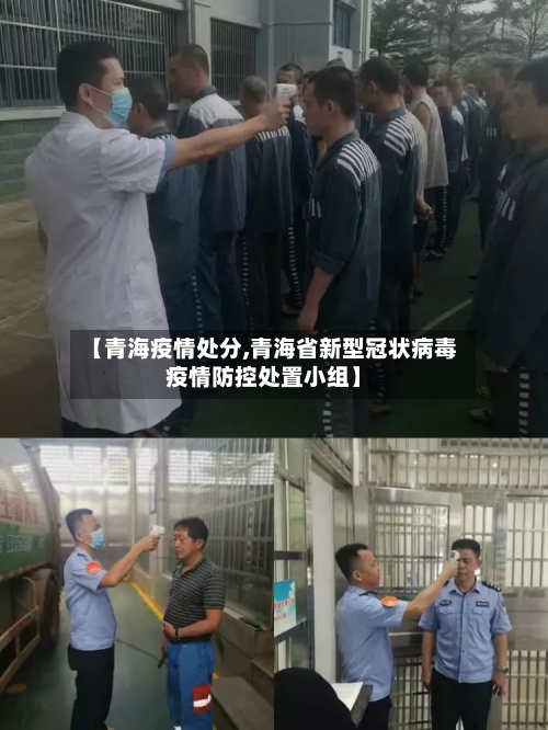 【青海疫情处分,青海省新型冠状病毒疫情防控处置小组】-第2张图片