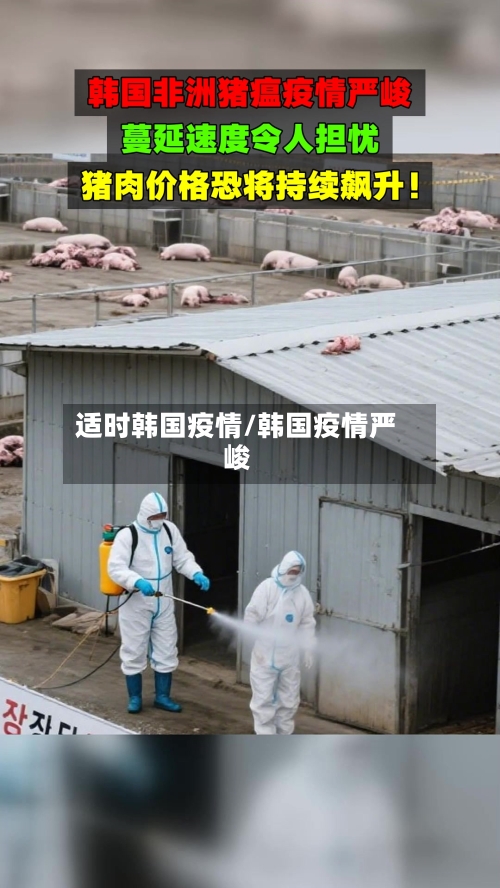 适时韩国疫情/韩国疫情严峻-第3张图片