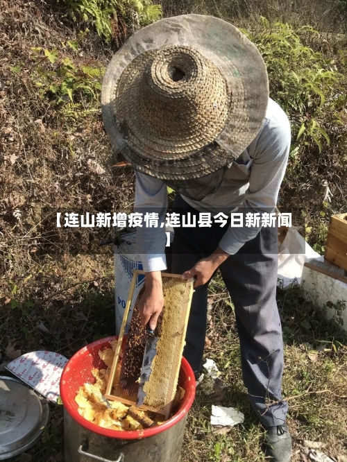 【连山新增疫情,连山县今日新新闻】-第1张图片