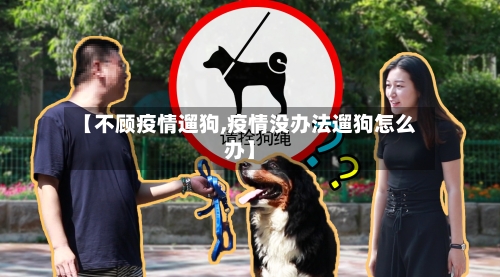 【不顾疫情遛狗,疫情没办法遛狗怎么办】-第2张图片