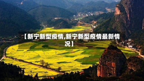 【新宁新型疫情,新宁新型疫情最新情况】-第1张图片