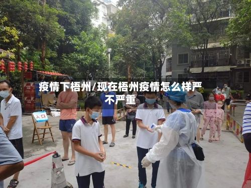 疫情下梧州/现在梧州疫情怎么样严不严重-第2张图片