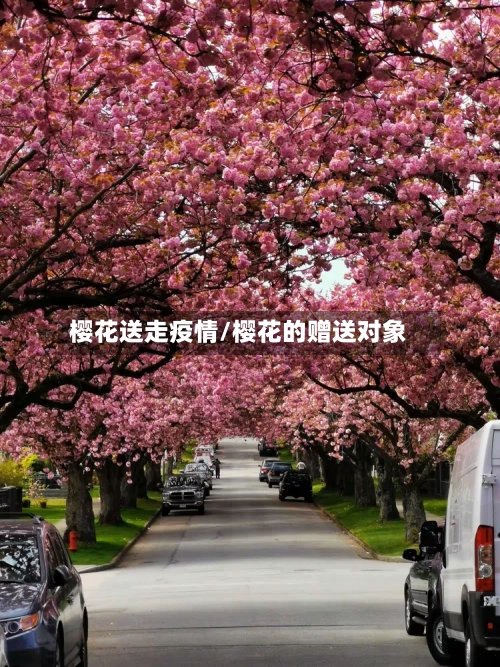 樱花送走疫情/樱花的赠送对象-第2张图片
